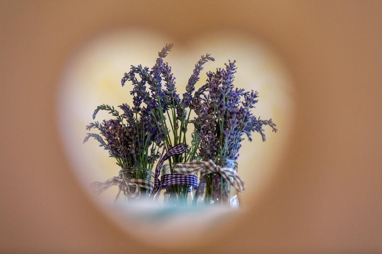 Apartment Pod Skalco ゴレンスカ地方 エクステリア 写真